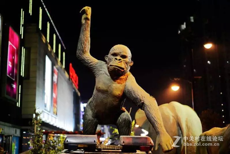 洛阳西雅图大酒店隋唐佳能专卖王城路店活动拍车模！！！！！！！！！！！！