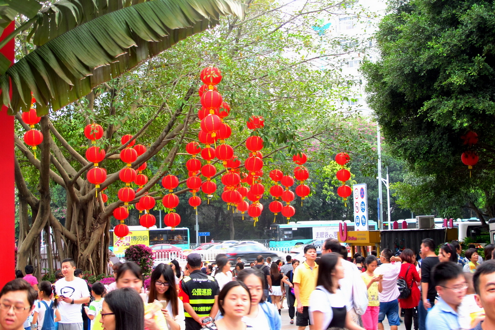 深圳市市花（簕杜鹃）展