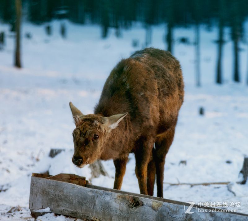 一路找北漠河行