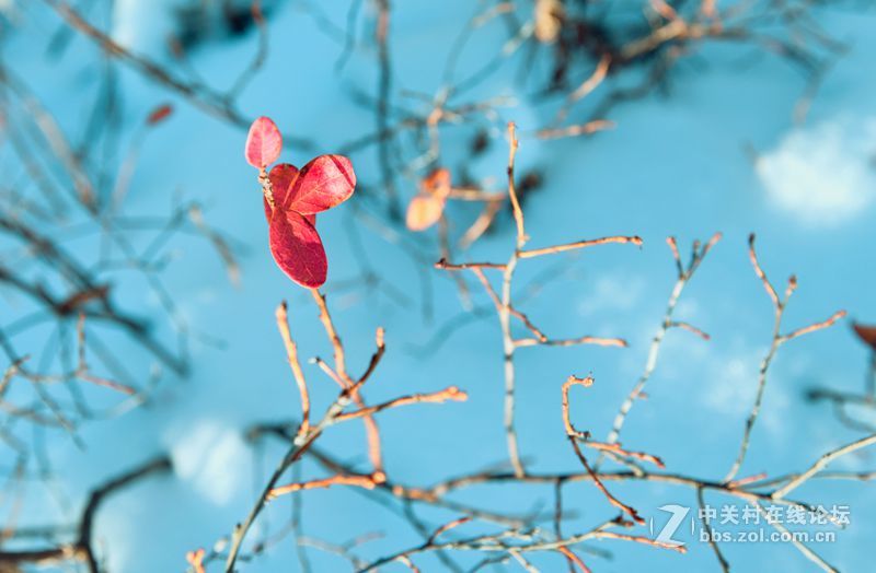 一路找北漠河行