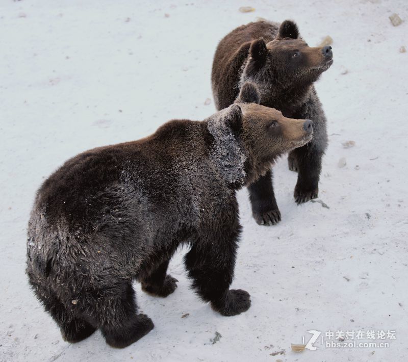一路找北漠河行