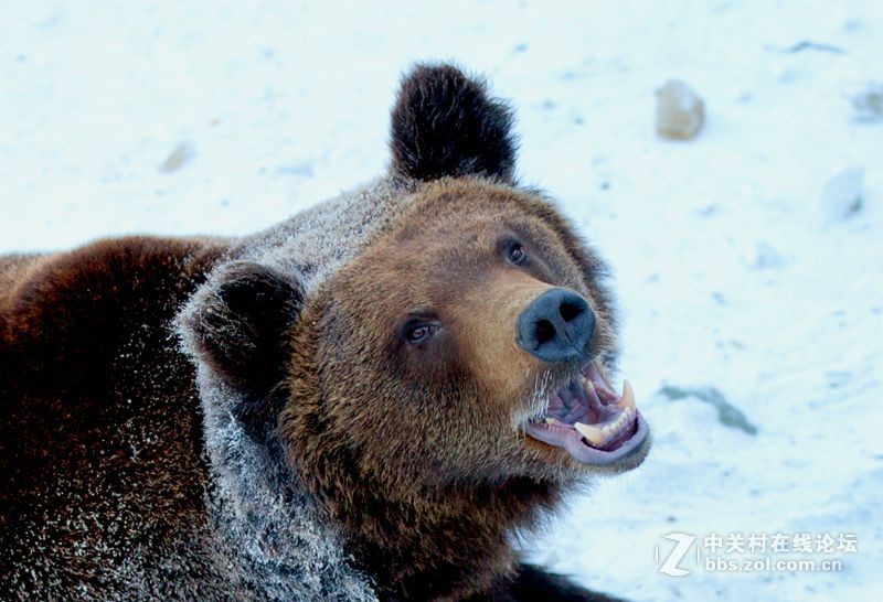 一路找北漠河行