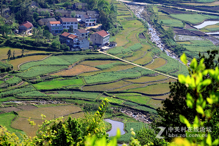 国货当自强，为永诺85mm/f1.8点赞