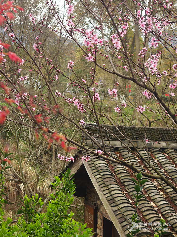 衢州廿八都古镇