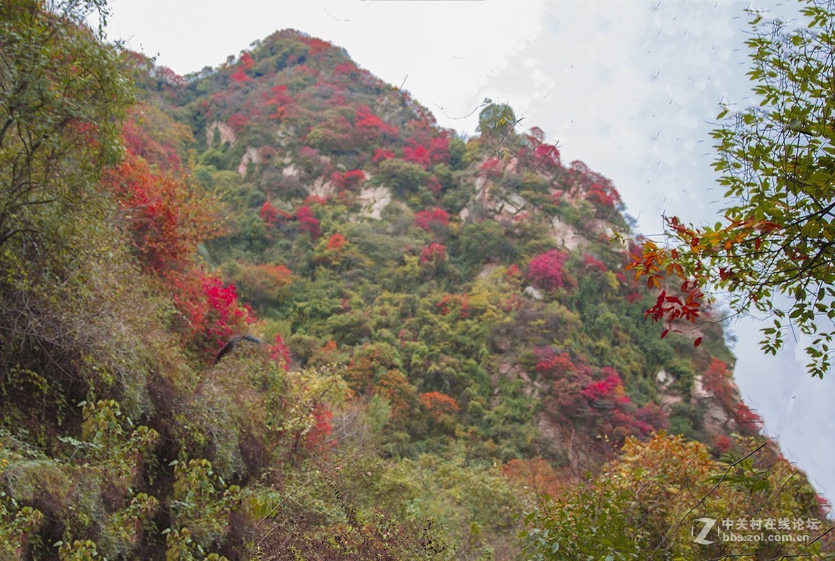 #佳能月赛-一叶知秋#塔盘沟秋景