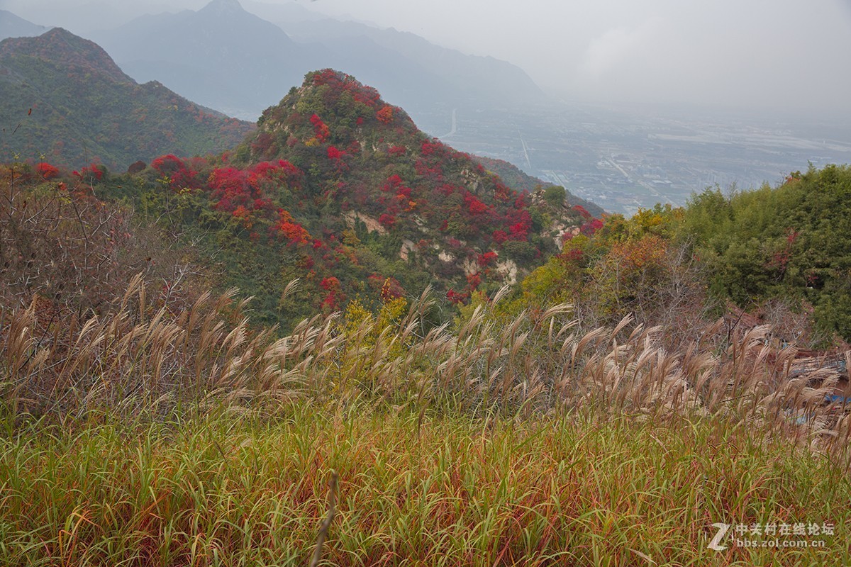 #佳能月赛-一叶知秋#塔盘沟秋景
