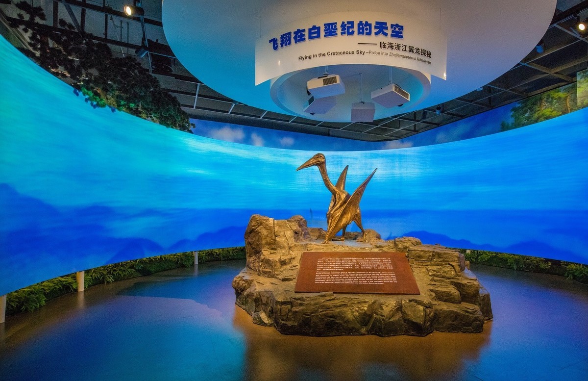申精。。。临海博物馆自然展厅
