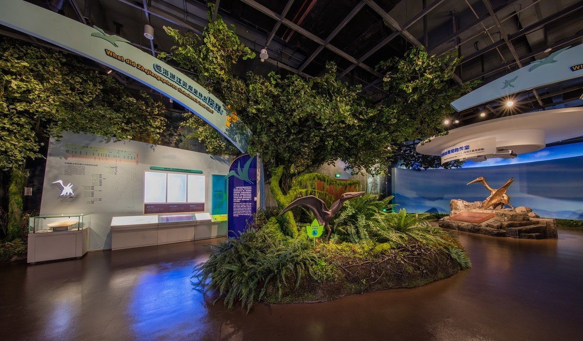 申精。。。临海博物馆自然展厅