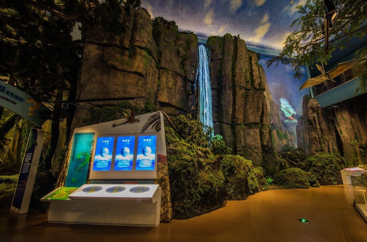 申精。。。临海博物馆自然展厅