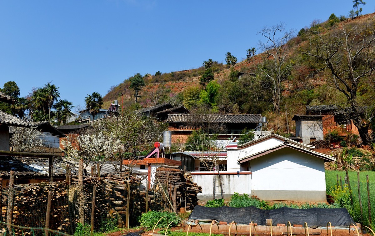 七彩云南行一字格村见证茶马古道痕迹