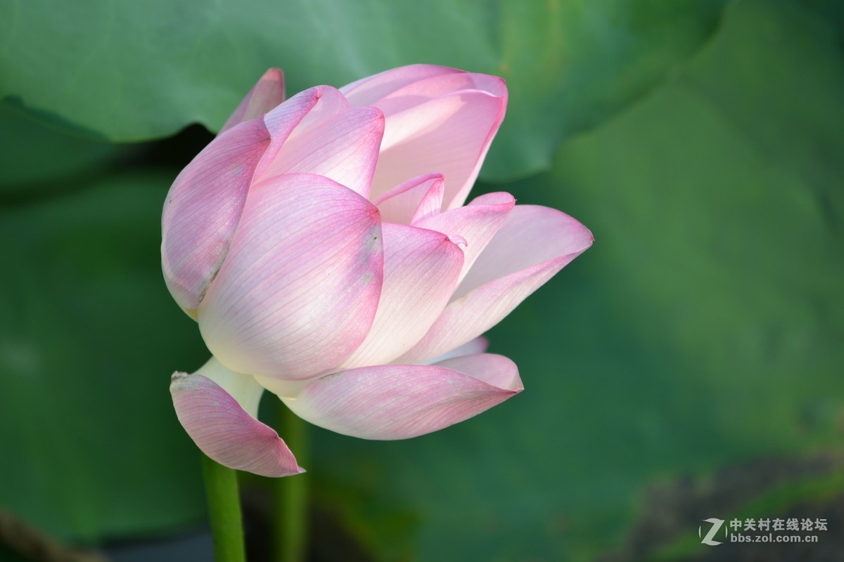 试镜，没有后期