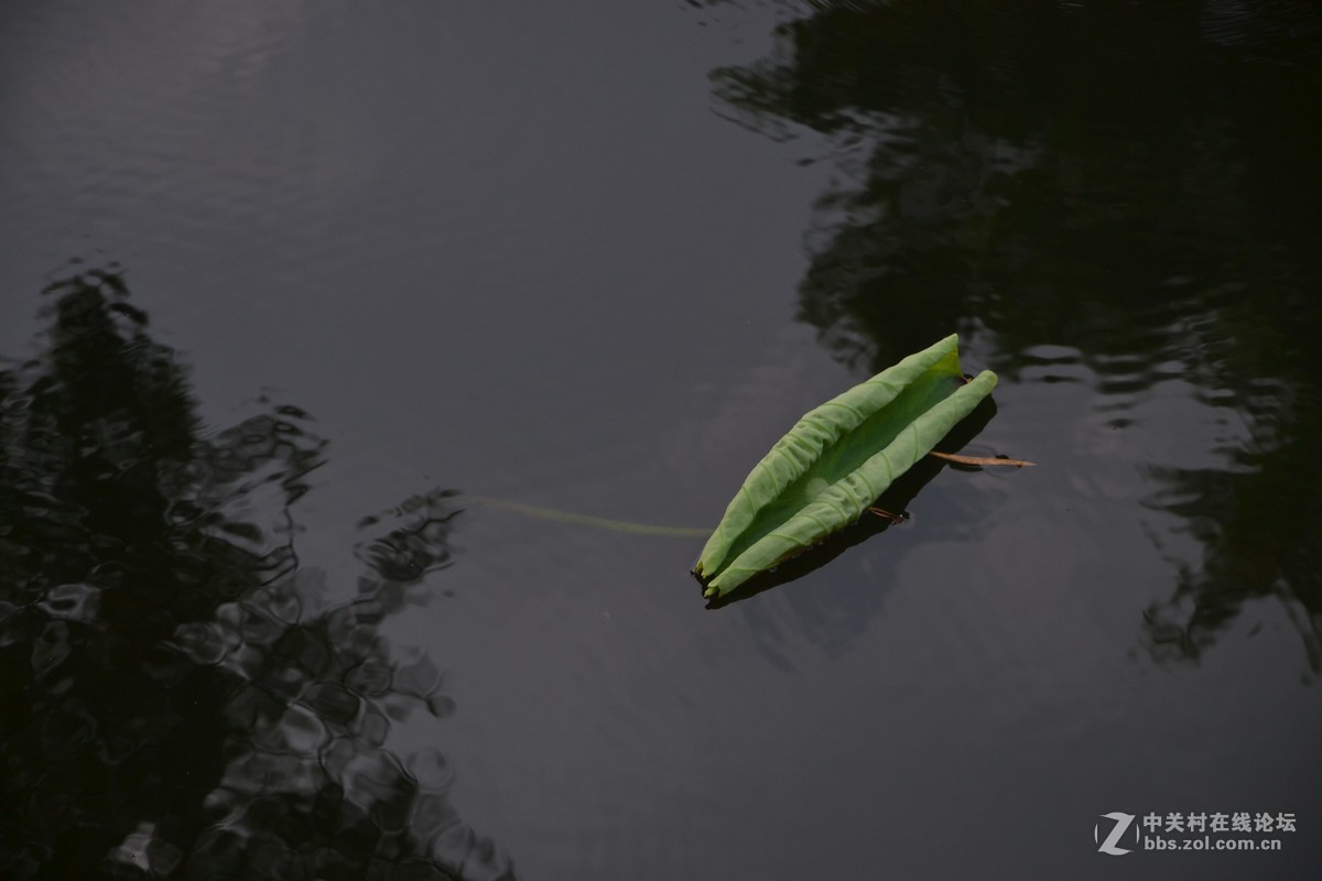 试镜，没有后期