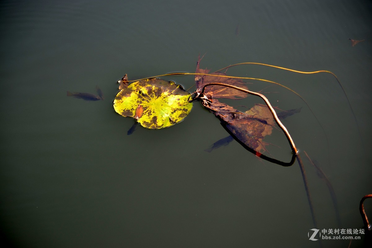 试镜，没有后期