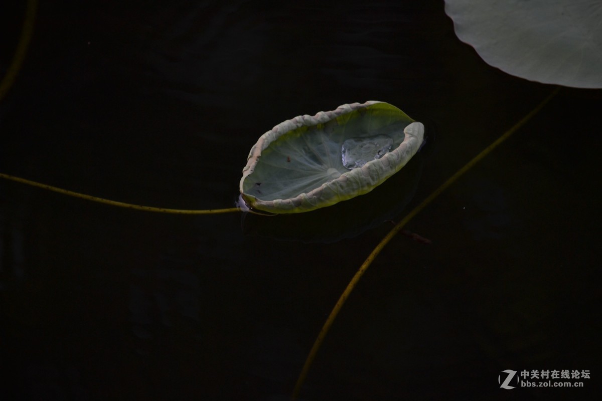 试镜，没有后期