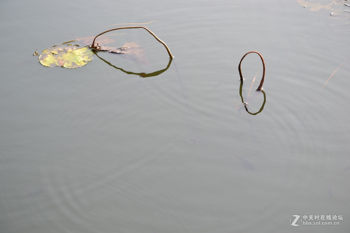 试镜，没有后期