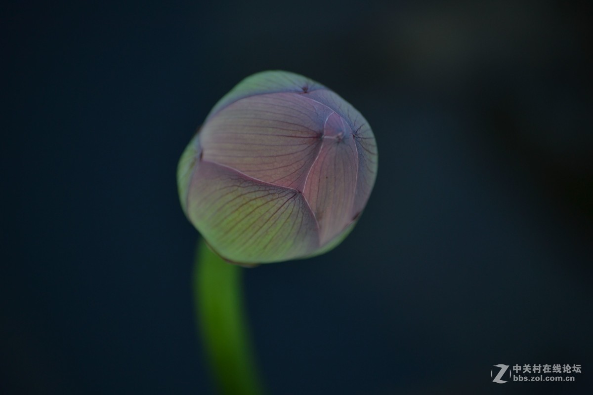 试镜，没有后期