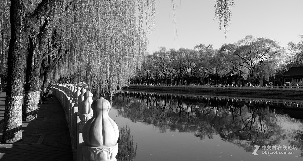 什刹海TYP113黑白