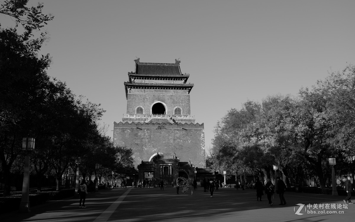 什刹海TYP113黑白