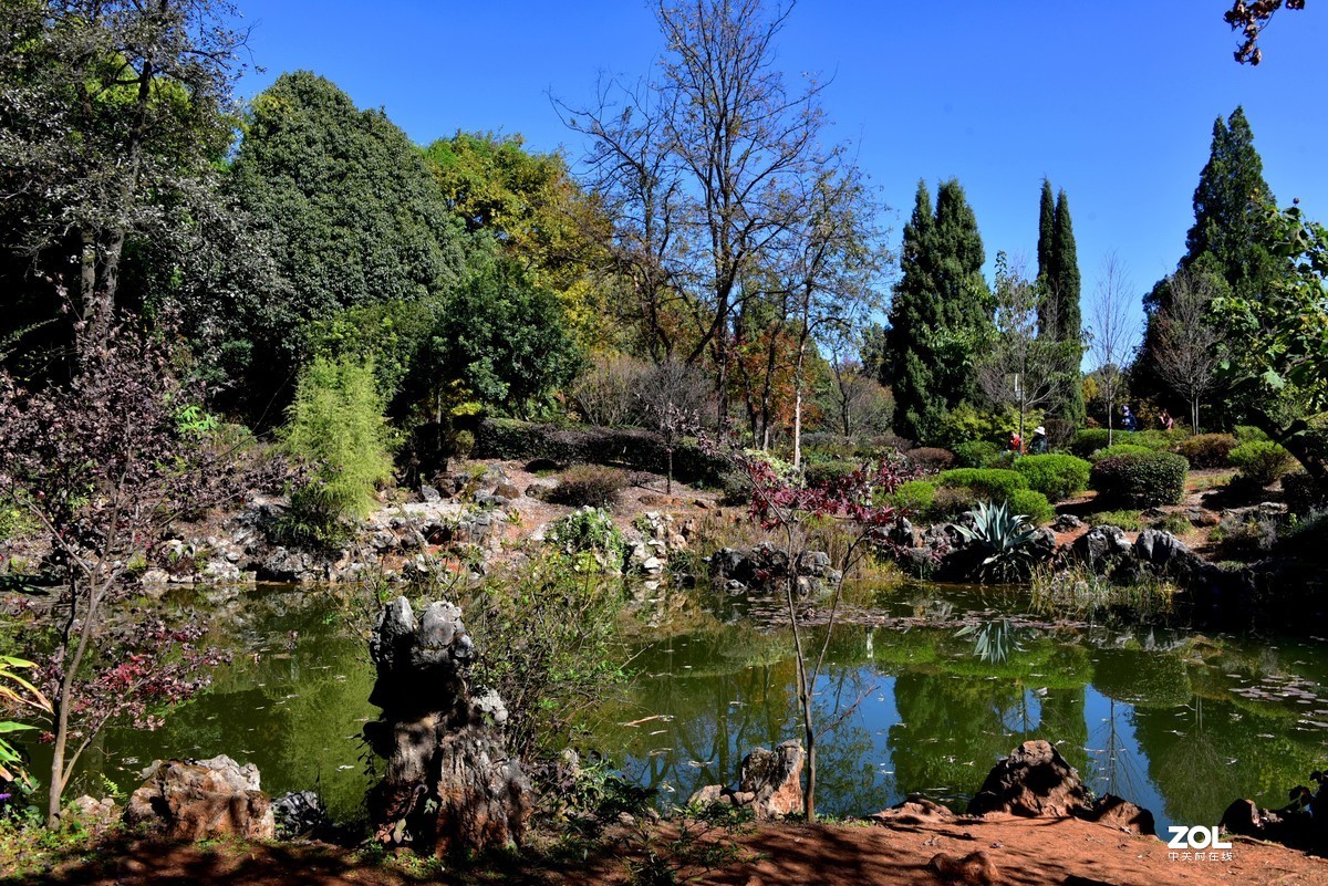 昆明植物园百草园