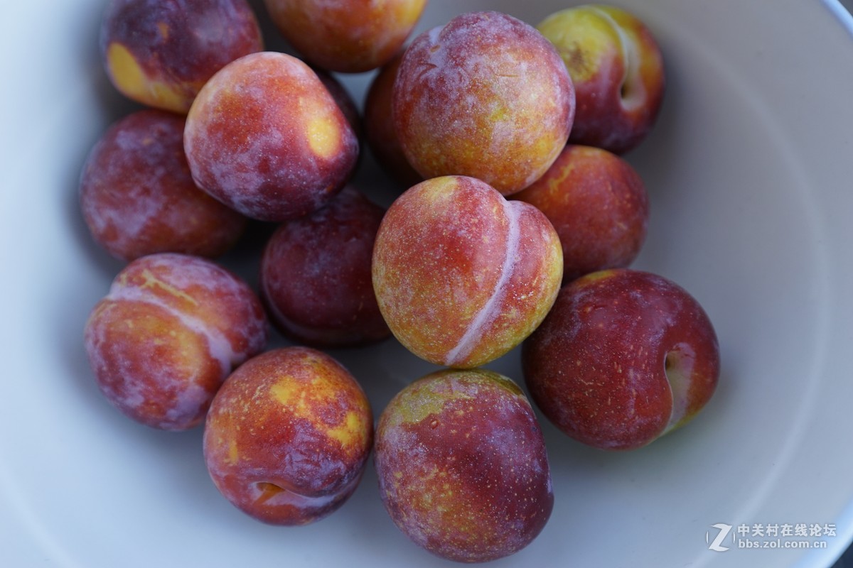 ef1635mmf4lisusm近摄习作碗中的李子