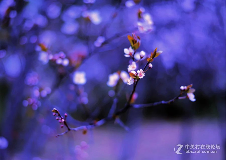 洛阳西雅图大酒店隋唐佳能专卖王城路店活动拍车模！！！！！！！！！！！！