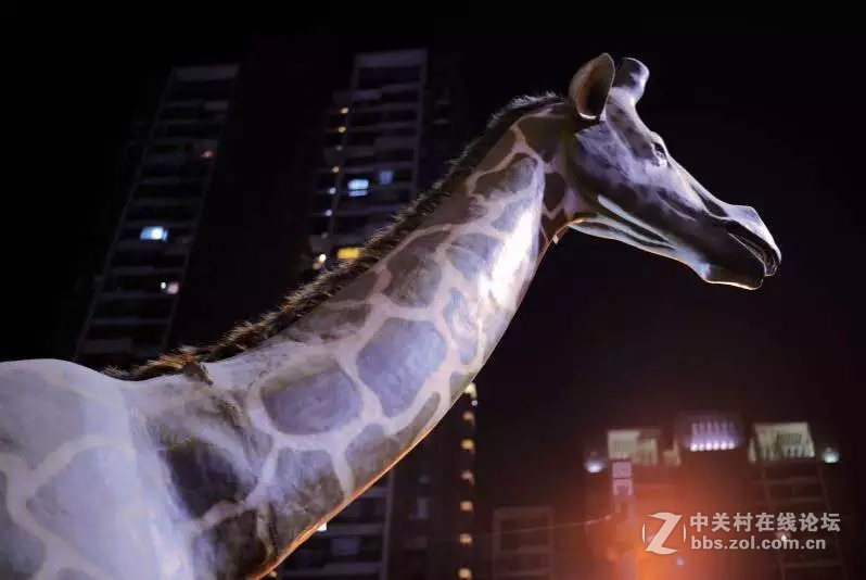 洛阳西雅图大酒店隋唐佳能专卖王城路店活动拍车模！！！！！！！！！！！！