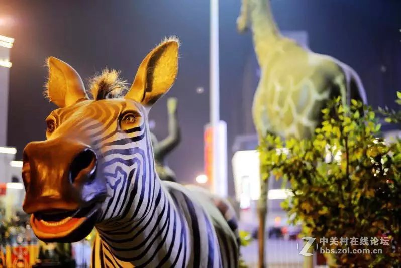 洛阳西雅图大酒店隋唐佳能专卖王城路店活动拍车模！！！！！！！！！！！！