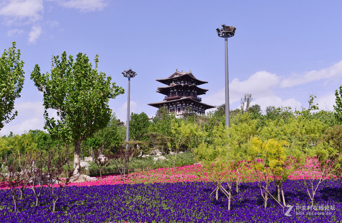 唐山世界园艺博览会29p北京山人摄影
