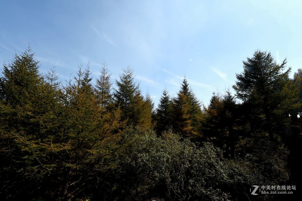 十一假期出游“白石山”（一）