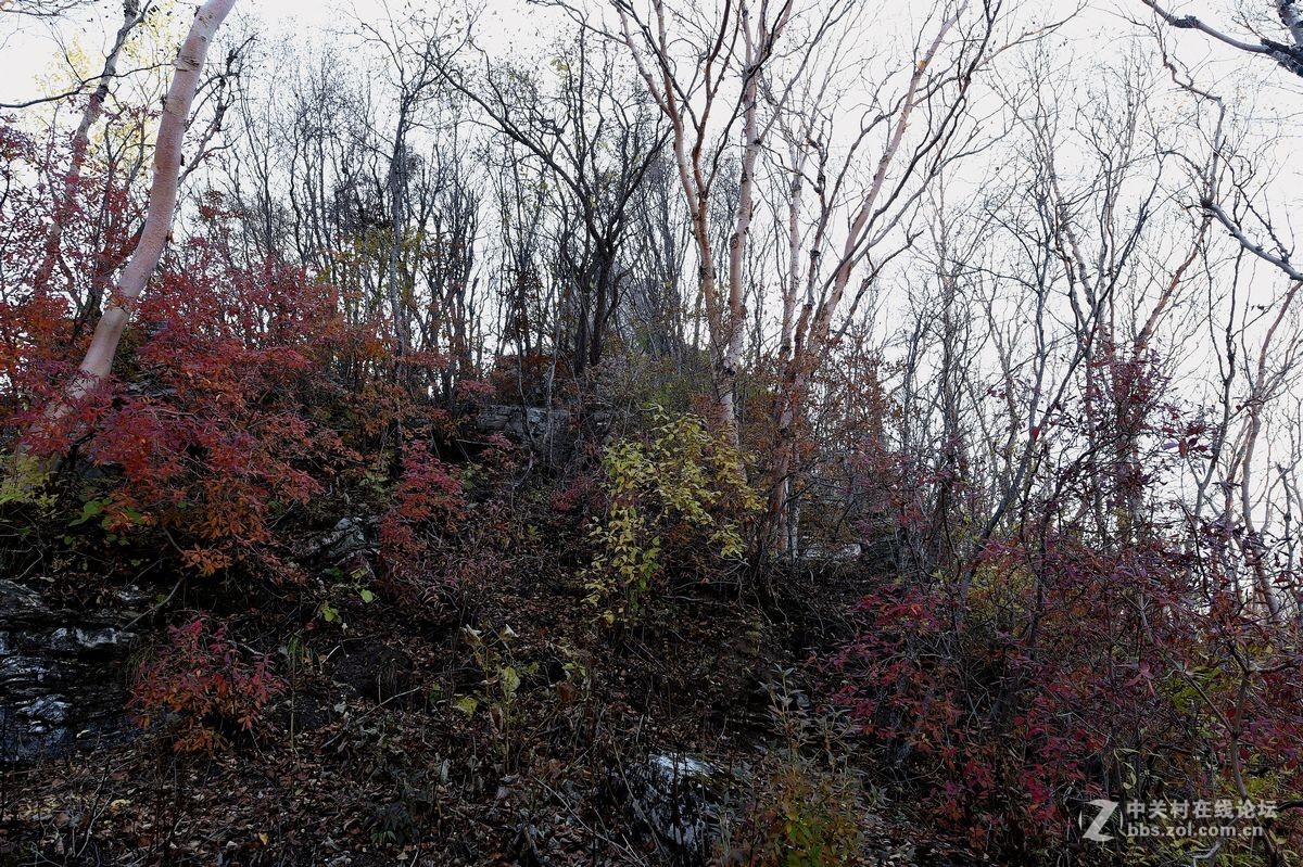 十一假期出游“白石山”（一）
