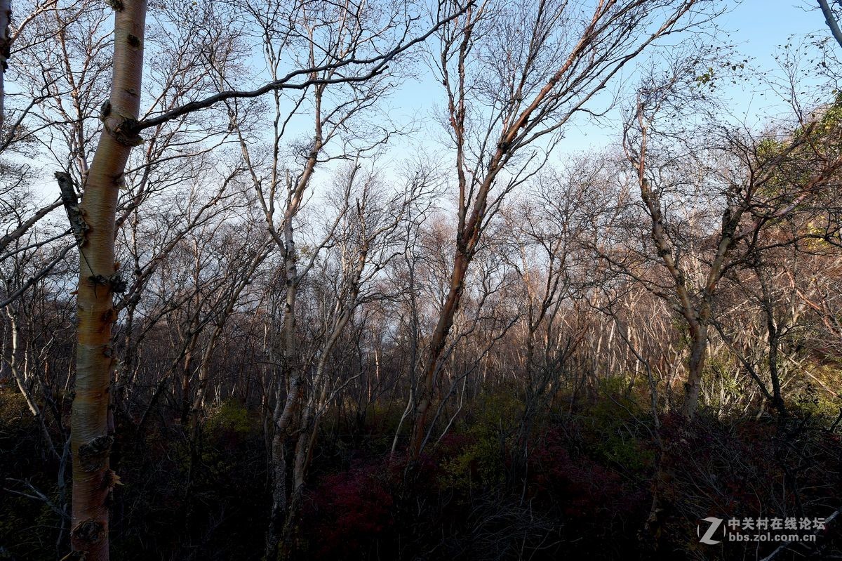 十一假期出游“白石山”（一）
