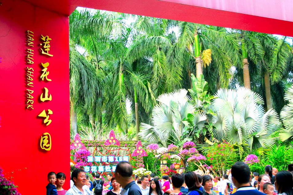 深圳市市花（簕杜鹃）展