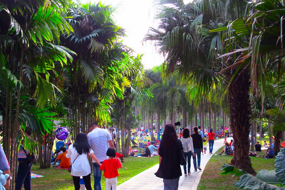 深圳市市花（簕杜鹃）展