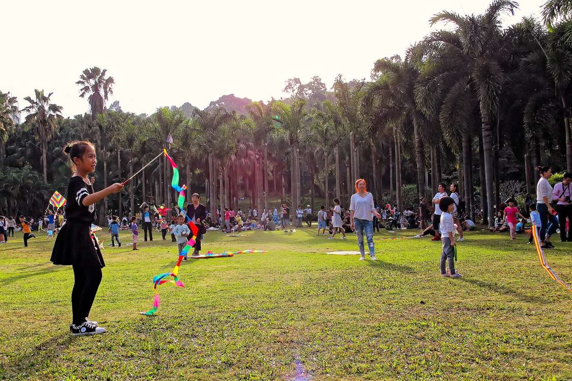 深圳市市花（簕杜鹃）展