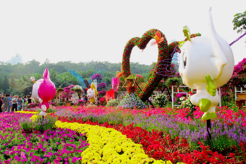 深圳市市花（簕杜鹃）展