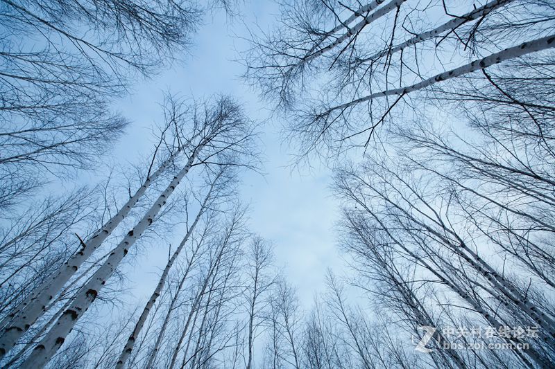一路找北漠河行