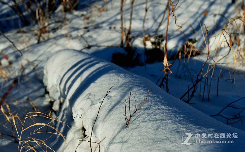 一路找北漠河行
