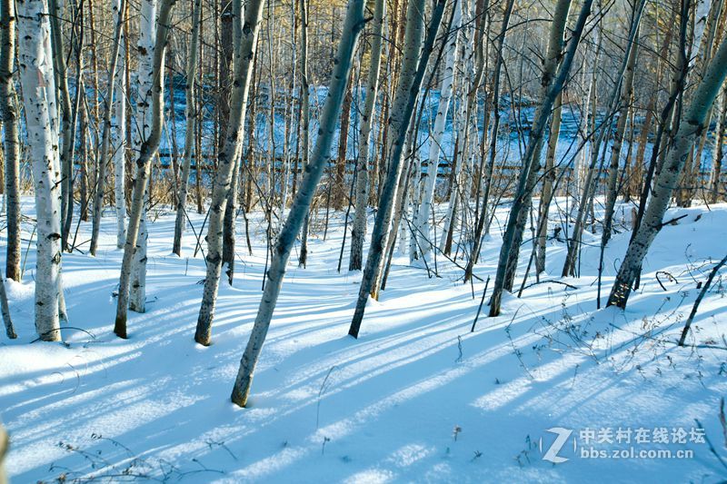 一路找北漠河行