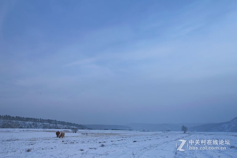 一路找北漠河行