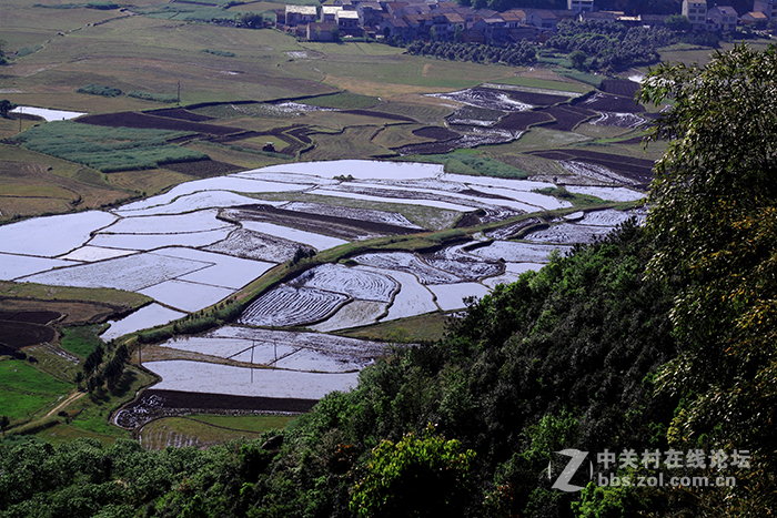 国货当自强，为永诺85mm/f1.8点赞