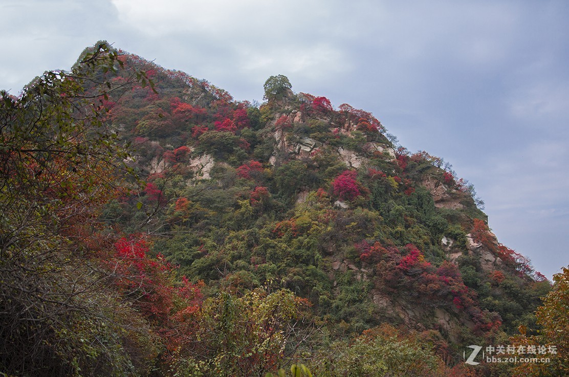 #佳能月赛-一叶知秋#塔盘沟秋景