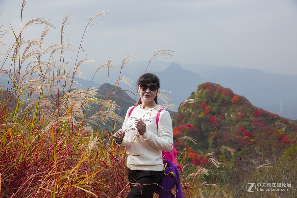 #佳能月赛-一叶知秋#塔盘沟秋景