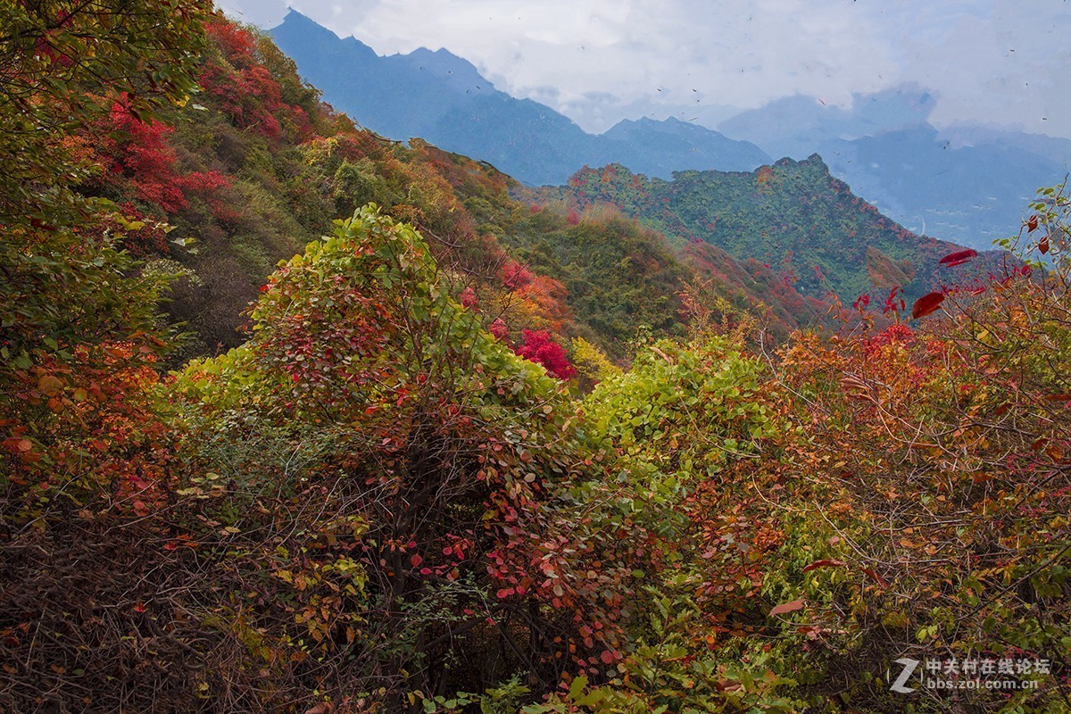 #佳能月赛-一叶知秋#塔盘沟秋景