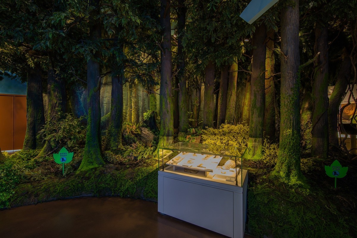 申精。。。临海博物馆自然展厅