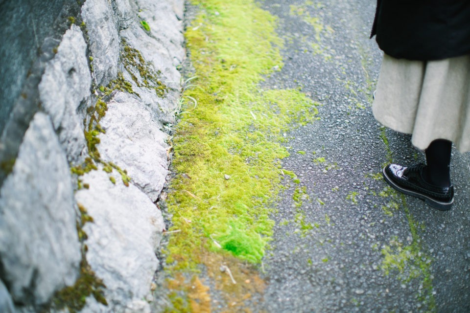 爱生活，爱摄影