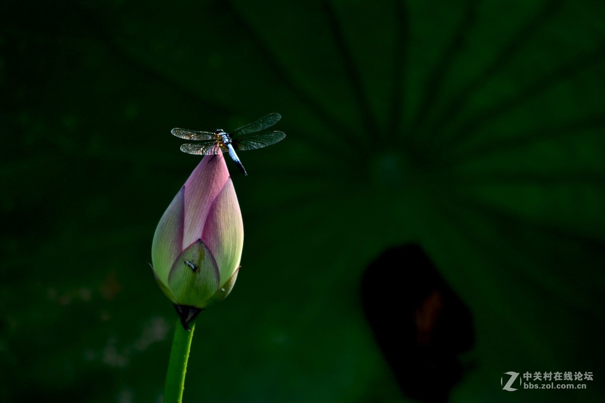 试镜，没有后期