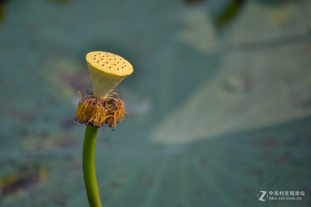 试镜，没有后期
