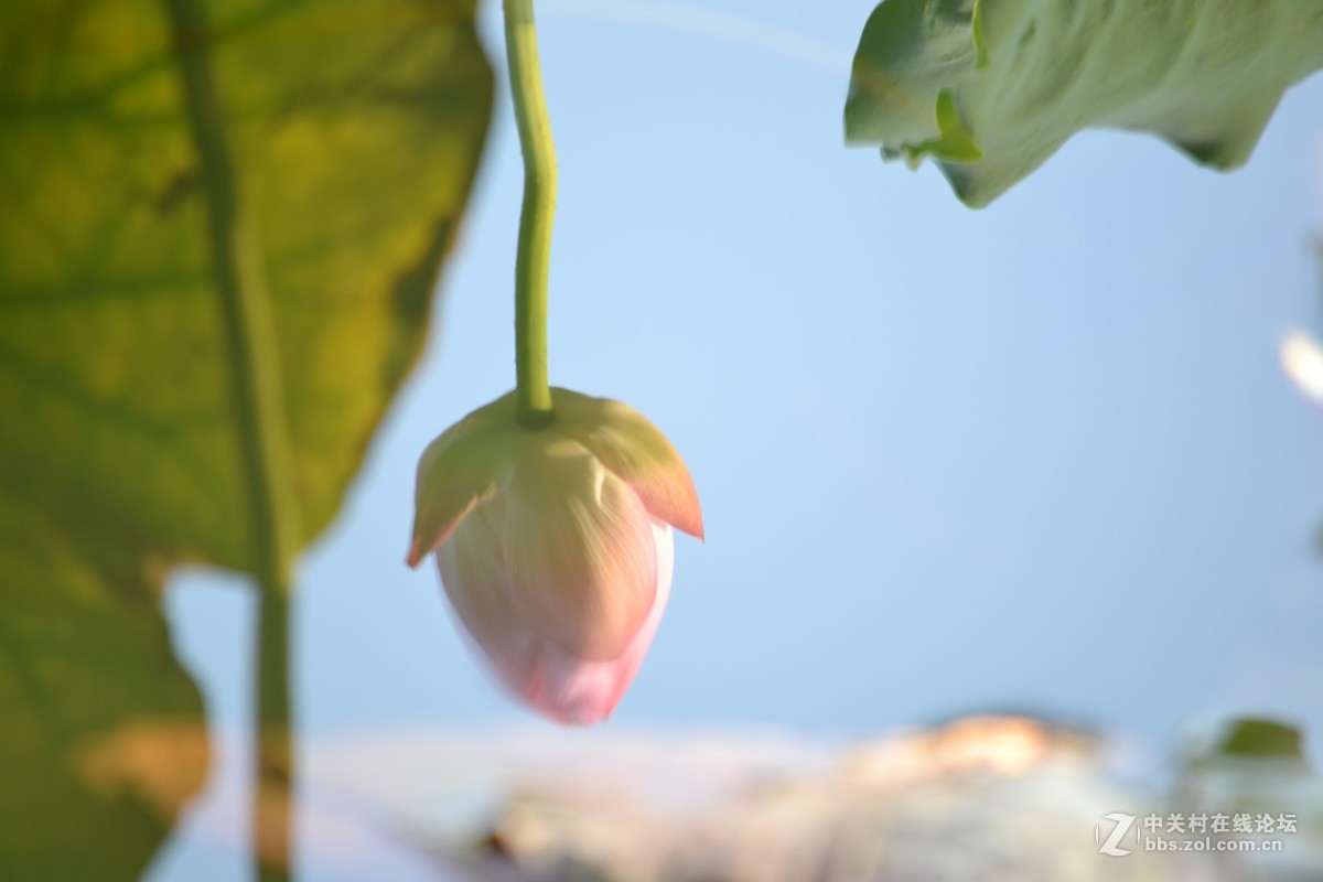 试镜，没有后期