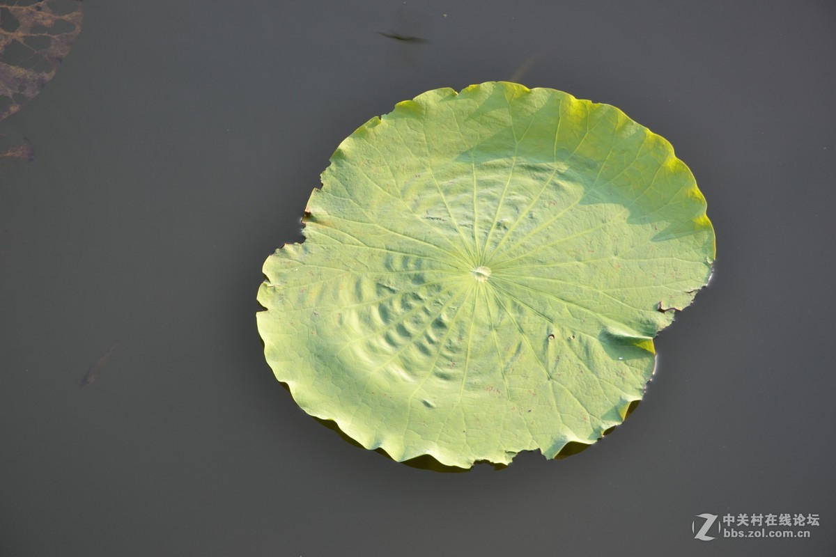 试镜，没有后期