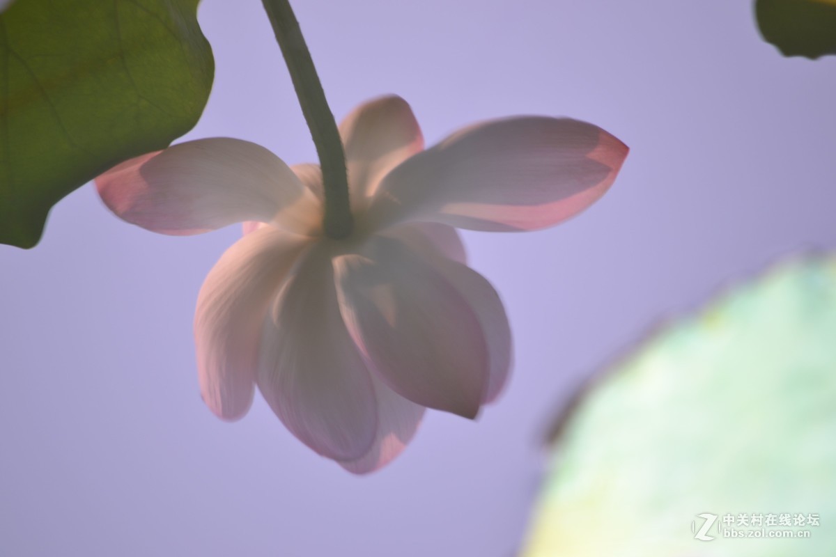 试镜，没有后期